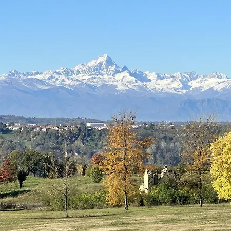 Just Langhe Casa Nebbiolo * 노벨로