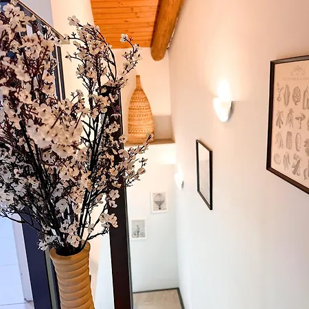 Just Langhe Casa Nebbiolo * 노벨로