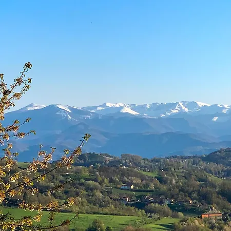 Just Langhe Casa Nebbiolo *