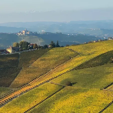 Just Langhe Casa Nebbiolo