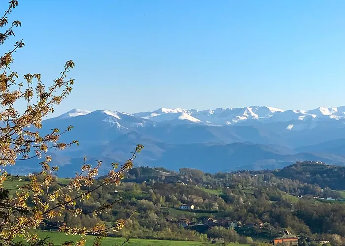 Just Langhe Casa Nebbiolo *