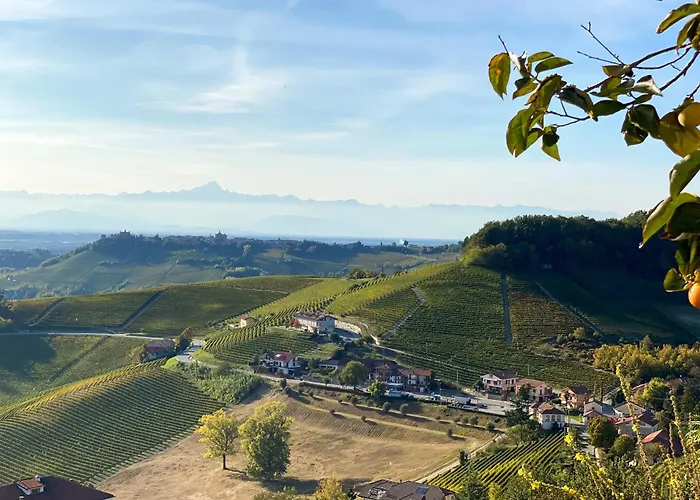 Just Langhe Casa Nebbiolo 诺韦洛