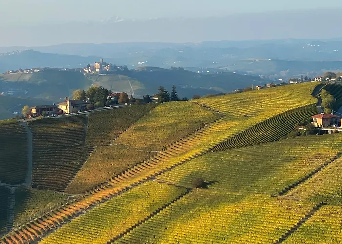 Just Langhe Casa Nebbiolo