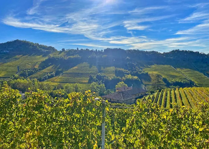 Just Langhe Casa Nebbiolo *