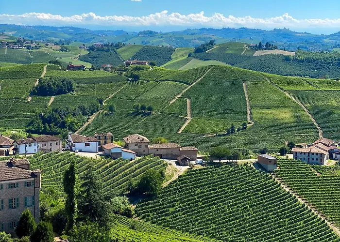 Just Langhe Casa Nebbiolo 诺韦洛